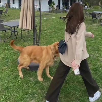 紧急呼救:孤星第二季