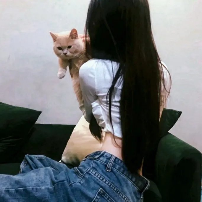 堕落天使的回忆录